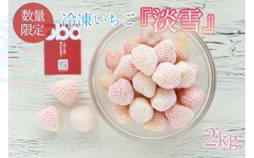 【数量限定】冷凍いちご 希少なプレミアム白イチゴ『淡雪』1kg入×2袋 合計2kg オリジナルレシピ有り【苺 いちご フルーツ 果物 冷凍 水戸市 茨城県】（DO-1）