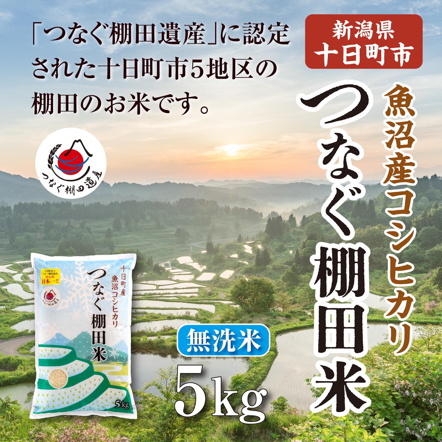 
                  【令和8年産 先行予約】無洗米5kg　新潟県十日町市魚沼産コシヒカリ「つなぐ棚田米」 米 こしひかり 無洗米 十日町市
                