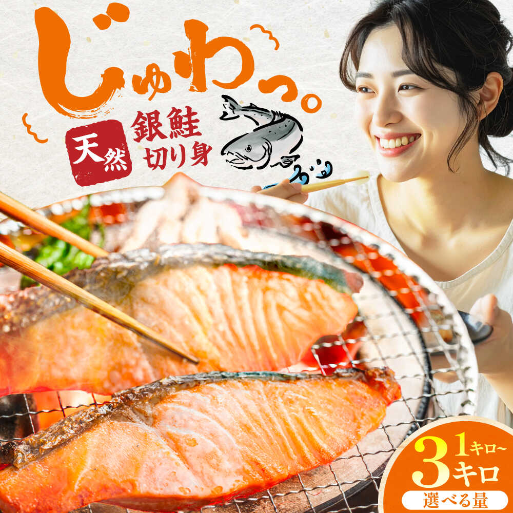 【ふるさと納税】【選べる容量】銀鮭 切り身　1kg〜3kg　広川町 / 株式会社イールファクトリー[AFBS025]