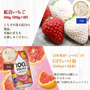 下野市を堪能!!まんぷく定期便4回 | 紅白いちご 100％ｶｼﾞｭｰﾊｲﾋﾟﾝｸGFﾁｭｰﾊｲ缶 栃木県共通返礼品とちぎ和牛サーロイン 栃木県産こしひかり10kg 月ごとに届くものが変わる 送料無料