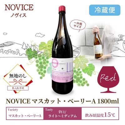 ふるさと納税 笛吹市 【無地熨斗】赤ワイン NOVICE マスカット・ベーリーA 1800ml 日川中央葡萄酒 笛吹市 |  | 03