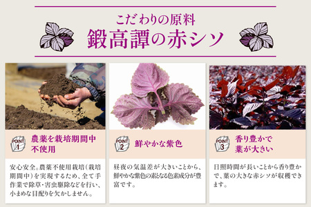 ＼高評価4.8／ 鍛高譚（たんたかたん）[1800ml]【6本セット】_I030-0026