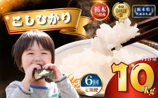 【令和8年産】定期便6回 コシヒカリ 10kg | 米 こめ 白米 精米 お米  栃木米 ブランド米 【栃木県共通返礼品 栃木県産】 栃木県 下野市 しもつけ市