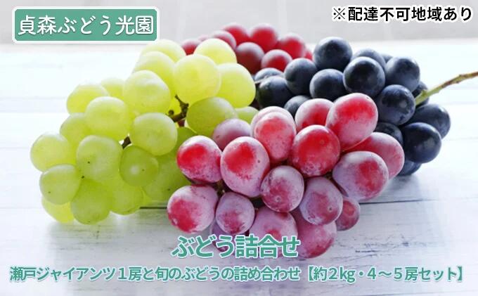 【ふるさと納税】ぶどう詰合せ 瀬戸ジャイアンツ 旬のぶどう 詰め合わせ 約2kg 4～5房セット 貞森ぶどう光園 ぶどう ブドウ 葡萄 フルーツ 果物　【 大粒 人気 皮ごと 熟した 採れたて 食べ比べ 】　※2025年9月上旬～9月下旬頃に順次発送予定
