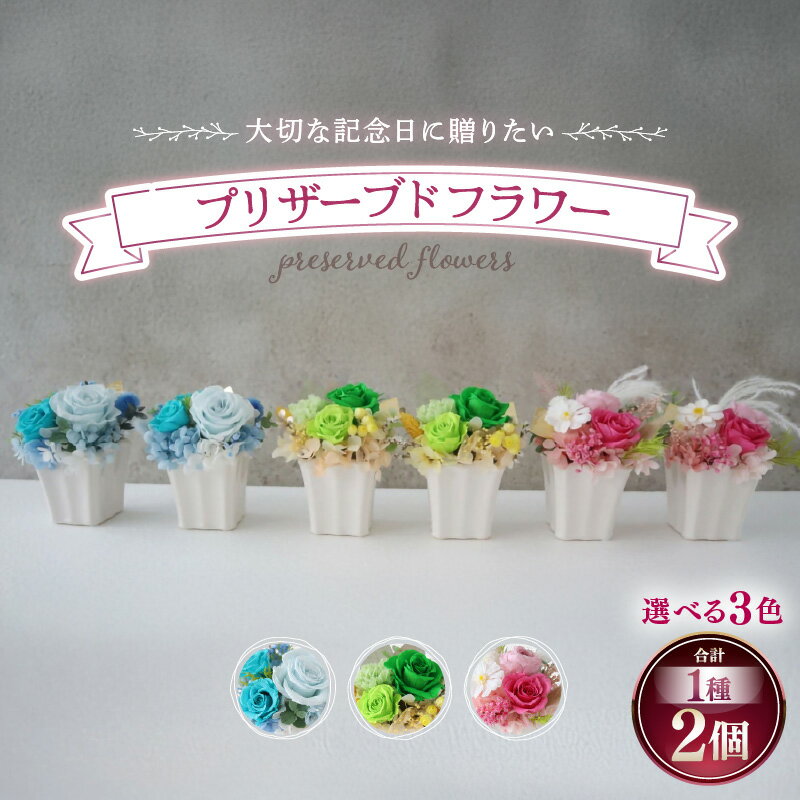 【ふるさと納税】プリザーブドフラワー 2個セット ＜大切な記念日に ペアで飾って＞ ／ インテリア ウェディング 結婚祝 結婚記念日 誕生日 お祝い ギフト プレゼント ブリザーブド フラワー 花 アレンジメント