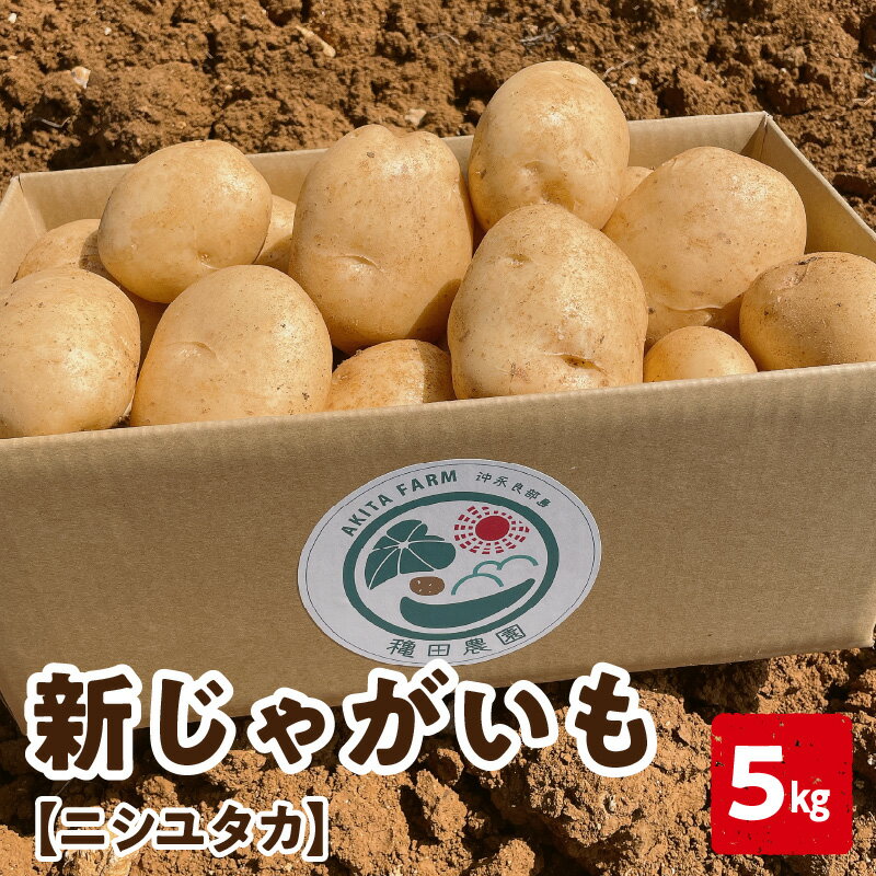 【ふるさと納税】【2026年先行予約】＜お届け月が選べる＞ 新じゃがいも ニシユタカ 5kg 2月～3月お届け じゃがいも 芋 ポテト 野菜 ミネラル豊富 料理 調理 先行受付 沖永良部産 堀りたて 美味しい 新鮮 穐田農園 ふるさと納税 知名町 おすすめ ランキング プレゼント