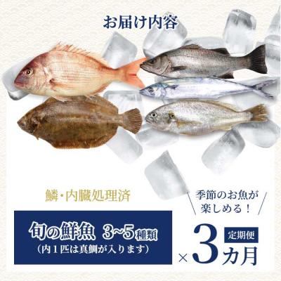 ふるさと納税 三原市 【3か月定期便】瀬戸内産 鮮魚 地魚詰め合わせ(3〜5種類)計3回お届け [154-009] |  | 01
