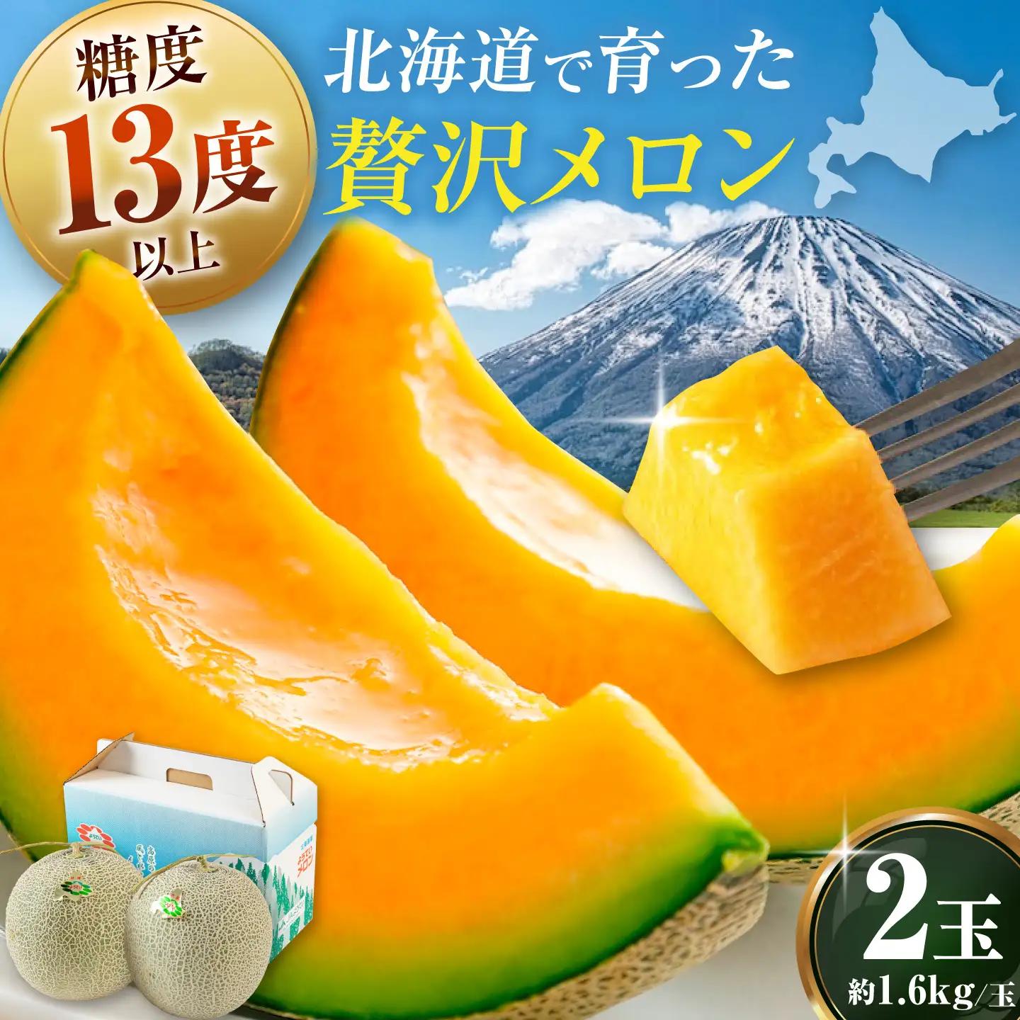 メロン 赤肉2玉 [AJAK004] メロン 北海道