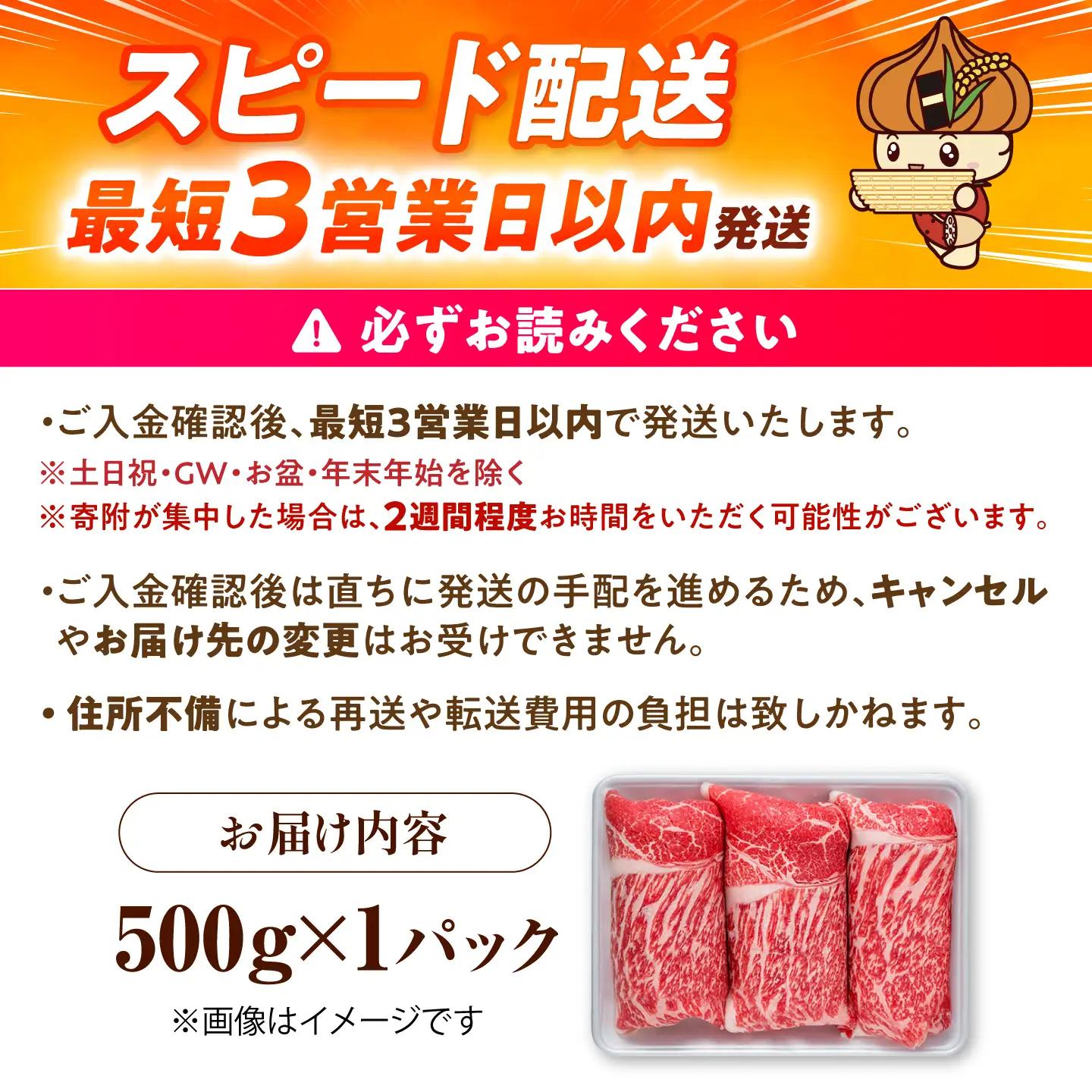 【スピード発送】佐賀産和牛 牛肉切り落とし500g  [IAG001] 牛肉切り落とし