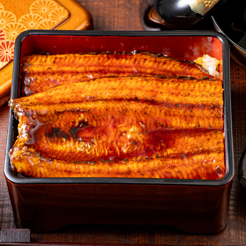 鹿児島産超特大うなぎ蒲焼(無頭) (計960g以上・240g以上×4尾) 鰻 蒲焼き 真空パック【株式会社財宝】B214