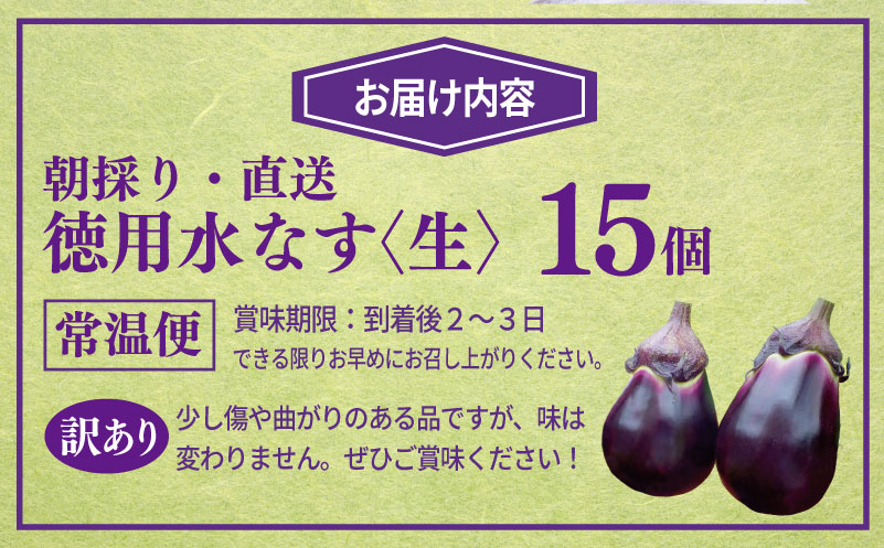 【先行予約】朝採り直送 徳用水なす 15個 訳あり 規格外 099H4539