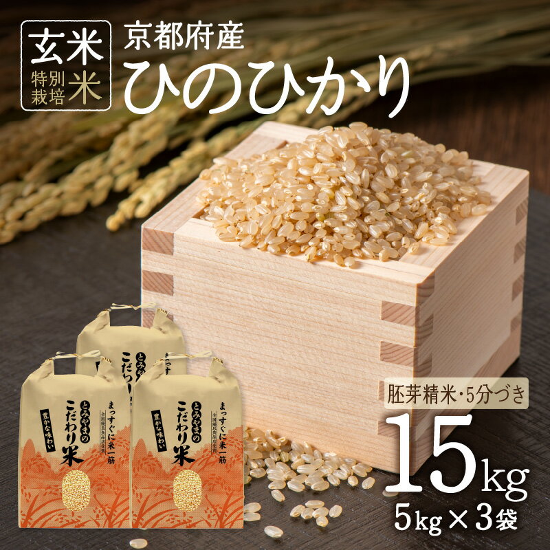【ふるさと納税】《レビューキャンペーン》＜特別栽培米＞ 令和6年産 京都府木津川市産 ひのひかり 15kg(5kg×3袋) 胚芽精米 5分づき ヒノヒカリ 米 こめ コメ ご飯 ごはん 2024年 安心 安全 京都米 国産 送料無料