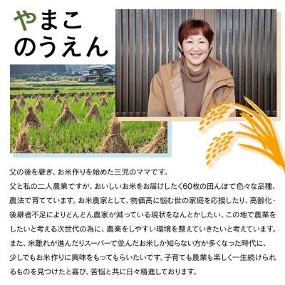 ふるさと納税 西予市 <ちほみのり 玄米  25kg> げんまい 米 こめ コメ ご飯 穀物 |  | 03