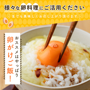 梶原たまご(計60個・10個×6P) 卵 玉子 鶏卵 卵かけご飯 玉子焼き【108800200】【カジワラファーム】