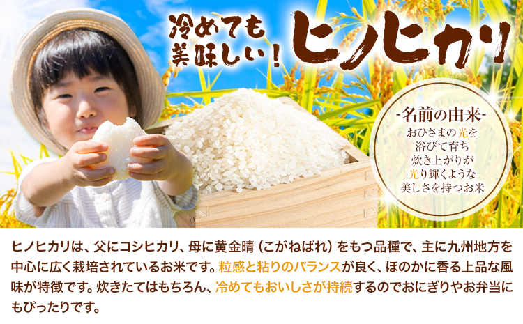 七城の恵み 詰め合わせ こだわりGreen 自然栽培米 ヒノヒカリ 2kg 肥後グリーン メロン 1玉 株式会社七城の恵み《5月上旬頃から出荷開始》熊本県 菊池市 米 メロン ひのひかり つるたファー