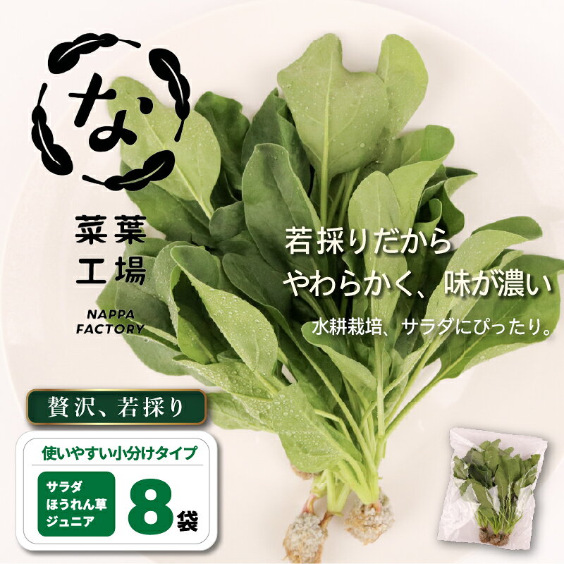 【ふるさと納税】 葉野菜 若採り サラダ ほうれん草 ジュニア | ベビー ほうれんそう ホウレンソウ 水菜 ミズナ 生食 野菜 セット 新鮮 健康 人気 おすすめ 高知県 南国市