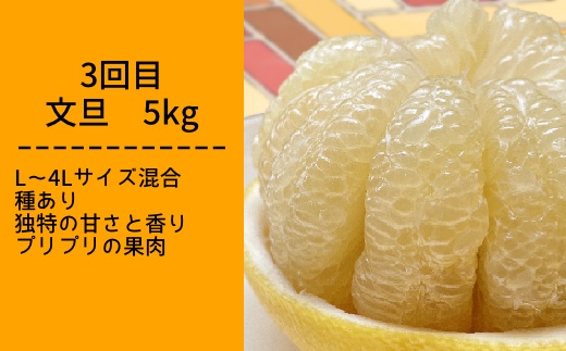 柑橘フルーツ４回定期便（ぽんかん３kg・麗紅３kg・文旦５kg・小夏３kg）みかん４種 果物 果実 柑橘 フルーツ デザート おやつ 美味しい 先行予約 国産 ギフト プレゼント 贈答【J00018】