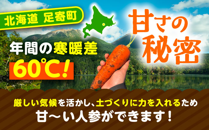 北海道 にんじん 3kg（土付き）《足寄町》【餌取農場】 北海道産 甘い 人参 野菜 根菜 ニンジン 3kg 道産 キャロット 糖度高め サラダ ジュース 生鮮野北海道産 菜 あしょろ 足寄 [BEB