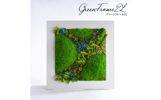 グリーンフレーム２L 花 お花 ブリザードフラワー ギフト プレゼント お祝い 誕生日 お供え アレンジ インテリア 東京都 墨田区【黒フレーム】 [№5619-6339]