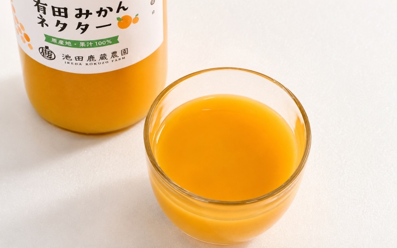 みかん ネクター 100％ ジュース / 温州みかん 有田みかん 果汁 無添加 柑橘 和歌山 14000円 720ml ※北海道・沖縄・離島への配送不可 //drink 【ikd100-to720-4