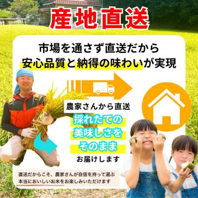 ふるさと納税 竹原市 【2026年先行予約】お米 にじのきらめき 精米 10kg 「お米農家おりはし」 |  | 01