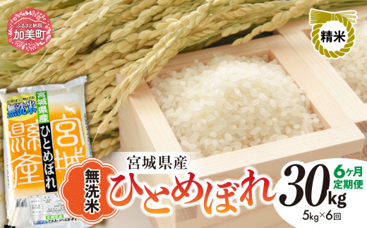 【6回定期便】新米 無洗米 令和6年度産 宮城 ひとめぼれ 30kg (5kg×6回) [菅原精米工業 宮城県 加美町 ]  ｜ sw00003-r6-5kg-6