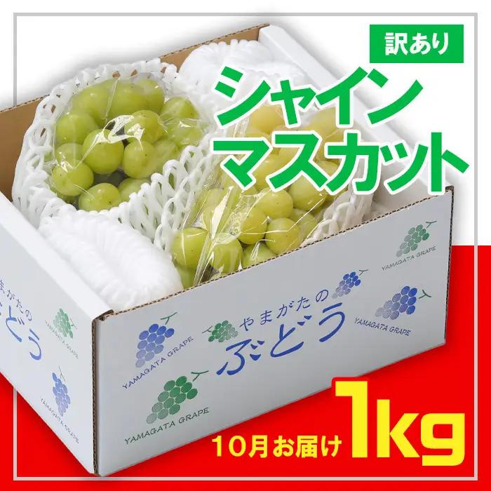 ☆フルーツ王国山形☆[訳あり] シャインマスカット1kg (1～3房)[10月お届け] 【令和8年産先行予約】FS23-854 くだもの 果物 フルーツ 山形 山形県 山形市 2026年産