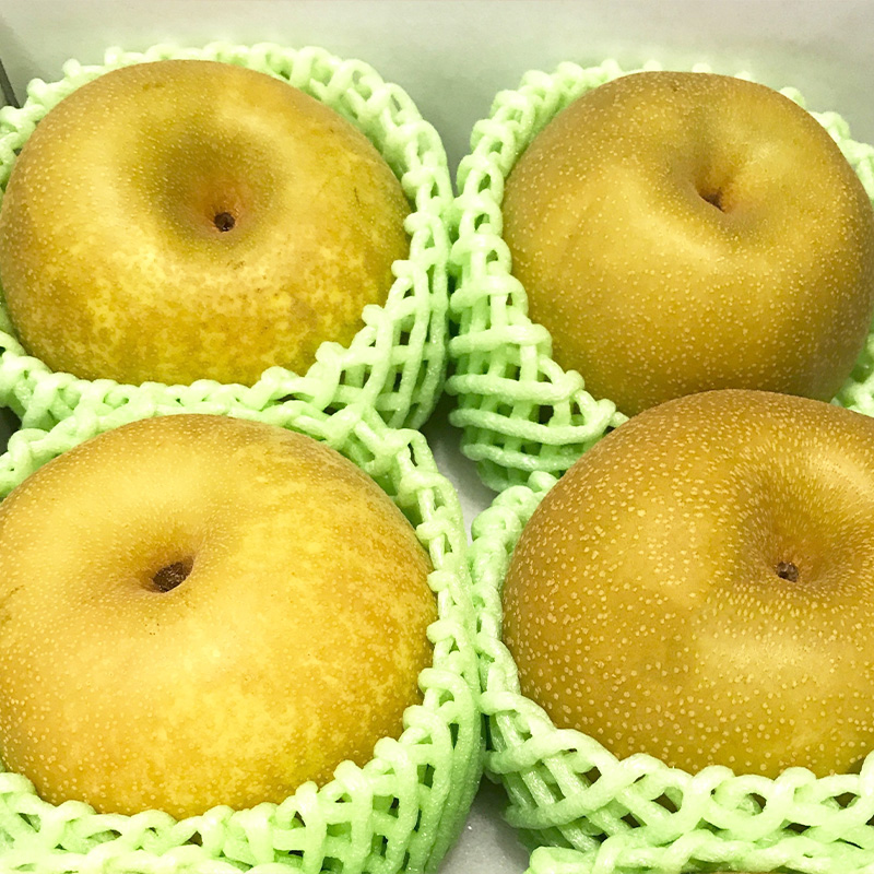 【定期便4回】やまがた 秋の贈り物定期便【令和7年産先行予約】FU23-877