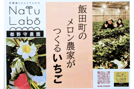 益田のいちご ほしうらら【いちご 苺 イチゴ ストロベリー strawberry 果物 くだもの フルーツ 益田いちご ほしうらら ギフト 冷蔵 先行予約 期間限定 季節限定 数量限定 早期予約 島根