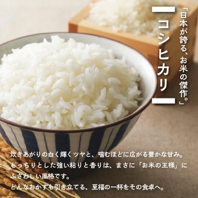 ふるさと納税 本巣市 【新米先行受付】令和8年産 コシヒカリ 5kg 無洗米 |  | 01