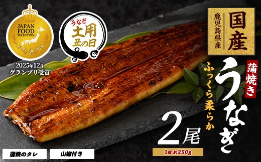 【丑の日に合わせてお届け！】【鹿児島県産】うなぎ蒲焼じっくり焼き約250g×2尾 木目化粧箱入り(大新/IB021-001u)うなぎ 国産 鹿児島 蒲焼 丑の日 丑 土用丑の日