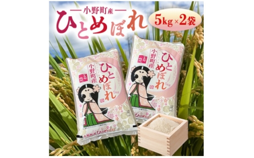 ＜毎月定期便＞福島県小野町産ひとめぼれ 精米 10kg(5kg×2袋)全3回【4081889】