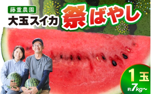 【先行予約】藤重農園の大玉スイカ『祭ばやし』 1玉（7kg～） ≪満足度高い大きなスイカ≫※2026年6月中旬以降順次発送 [aw083-a003]