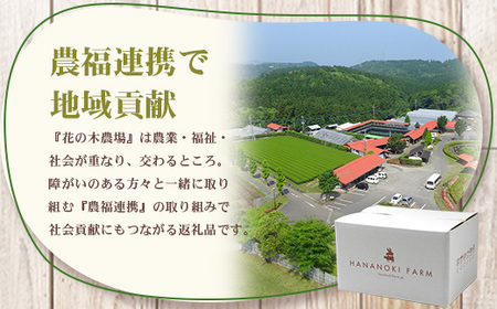 《全6回定期便》<2ヶ月に１回お届け> 花の木農場【ハム詰め合わせセット】7種 計1,000g HK-19│定期便 ハム ベーコン クラフトハム 人気 南大隅町 第2花の木ファーム ノウフク ソーセー