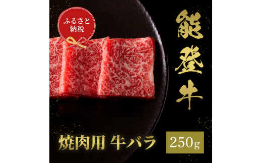 [№5784-1366]肉【和牛セレブ】能登牛　牛バラ 焼肉 250g 黒毛和牛 霜降り ギフト 石川県 能美市