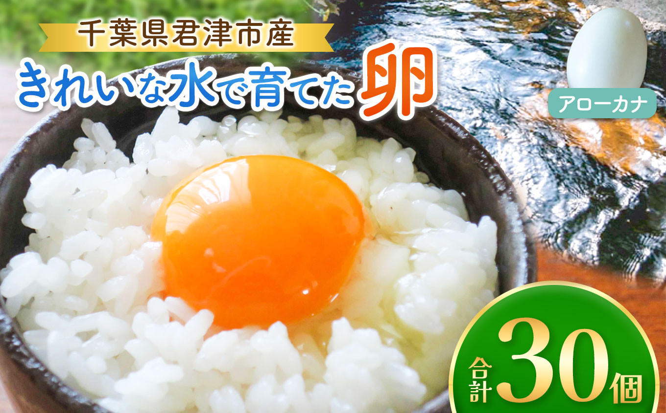 
            2週間以内に発送 きれいな水で育てた卵 アローカナ 30個 | 早く届く すぐ すぐ発送 保坂農場  あろーかな 卵 たまご 君津市産 千葉 君津 きみつ 房総
          