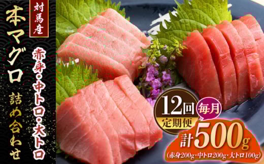 【全12回定期便】対馬産 本マグロ 500g（赤身200g、中トロ200g、大トロ100g）≪対馬市≫【桐谷商店】 トロの華 対馬 新鮮 マグロ 大トロ 鮪 刺身 鮮度抜群 [WAQ058]