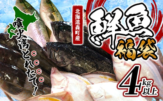 
北海道森町産 噴火湾とれたて鮮魚福袋4kg以上 ＜道産ネットミツハシ＞ アブラコ（アイナメ） カレイ類 カジカ ソイ ガヤ ニシン ハタハタ フクラゲ サヨリ 福袋 鮮魚 海鮮 セット 焼き魚 煮付け 鍋 ふるさと納税 北海道 森町 mr1-0149
