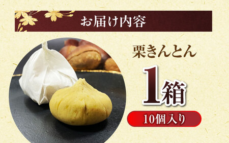 ＜期間限定＞ 栗きんとん 10個入り 【虎渓渡辺製菓】 栗 和菓子 くりきんとん[MCM009]