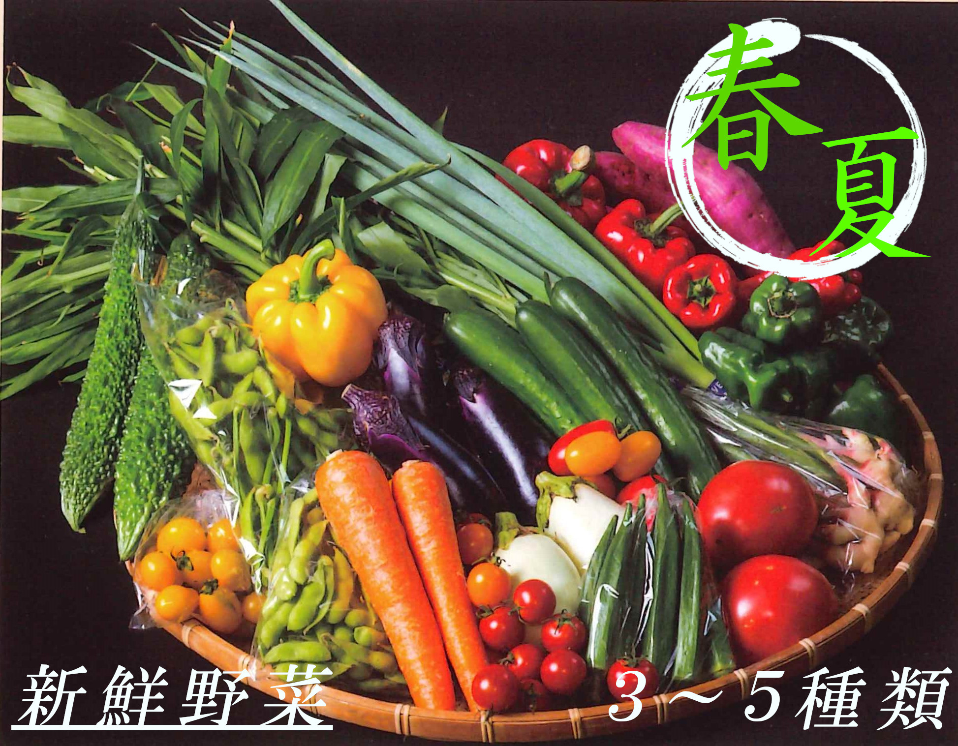 秦野産野菜イメージ