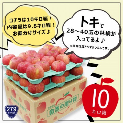 10月初旬頃発送 トキ 家庭用 10キロ箱 9.8kg 28～40玉 津軽りんご 産地直送【配送不可地域：離島】