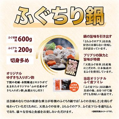 ふるさと納税 長門市 【2026年1月中旬より順次発送】天然ふぐ唐揚げ付き天然ふぐ鍋とらふぐ刺身セット4-5人前 |  | 02