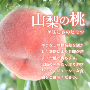〈2026年度配送分〉糖度12度以上！特秀 露地桃大玉 5-6玉〈約1.8kg〉（2026年7月上旬～下旬にかけて順次配送予定）