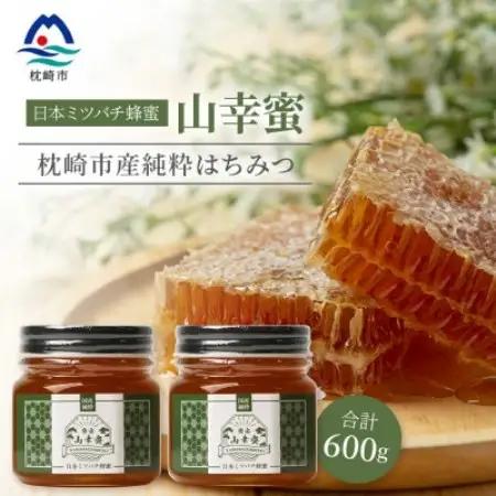 【数量限定】国産 生はちみつ 日本みつばち【非加熱・無添加の生蜂蜜】300g×2 B3-115【配送不可地域：離島】【1752142】