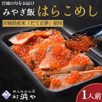 ふるさと納税 名取市 みやぎ飯【宮城県郷土料理】はらこ飯 1人前|21_hmy-220101