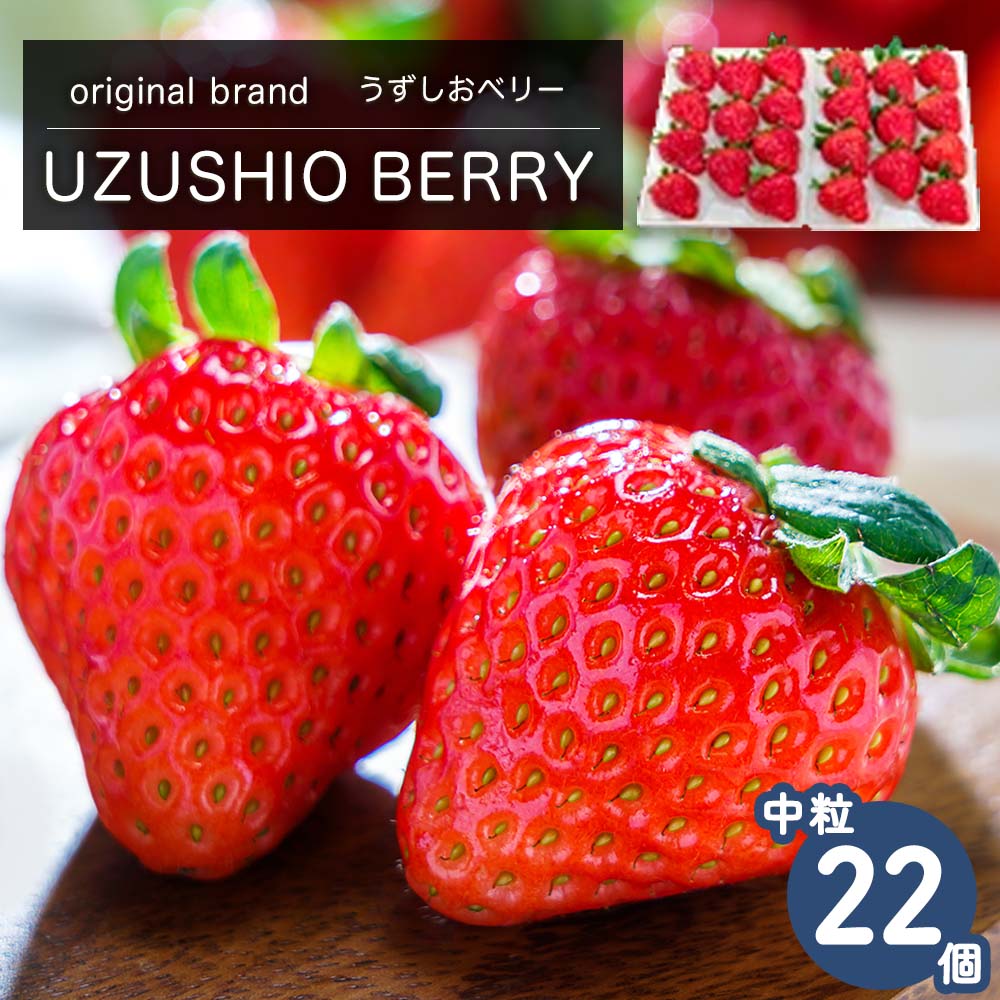【ふるさと納税】【 予約受付中・2025年12月中旬頃より順次発送 】フルーツガーデンやまがたのいちご「うずしおベリー」約500g 中粒 22個 苺 いちご イチゴ 紅ほっぺ 果物 フルーツ 送料無料 徳島 鳴門 農家直送 ギフト 甘い 旬 数量限定