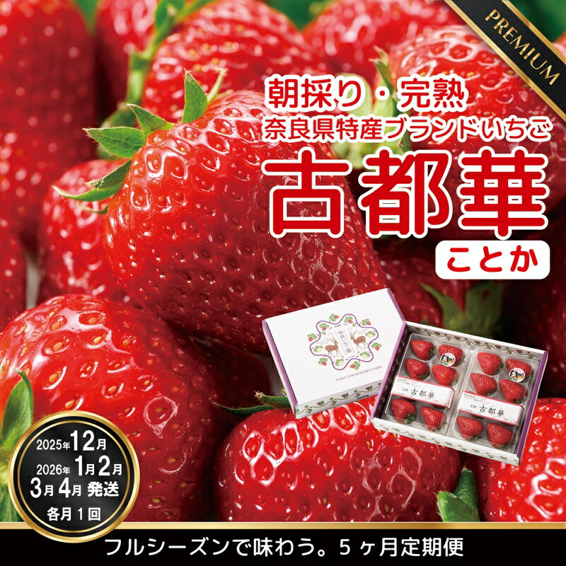 【ふるさと納税】【数量限定】【先行予約】【12・1・2・3・4月発送】奈良県特産 高級ブランドいちご「古都華」旬の5ヶ月定期便 // いちご イチゴ 古都華 フルーツ 果物 旬 限定 ブランド 定期便