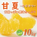 【ふるさと納税】 先行予約 訳あり 甘夏 10kg 7000円 樹齢25年 以上 みかん 蜜柑 あまなつ 夏みかん だいだい 家庭用 国産 期間限定 数量限定 特産品 ゼリー マーマレード ピール ジュース デザート 人気 おいしい フルーツ 果物 柑橘 減農薬 くらもとファーム 愛南町 愛媛県