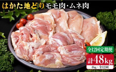 【全12回定期便】はかた地どり もも肉 2kg & むね肉 2kg 合計4kg セット 糸島【糸島ミートデリ工房】 [ACA159] 鶏肉 鶏肉 鶏肉 鶏肉 鶏肉 鶏肉 鶏肉 
