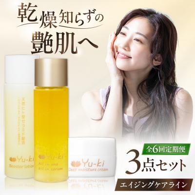 ふるさと納税 糸島市 【全6回定期便】エイジングケアライン 3点セット[AHJ033]